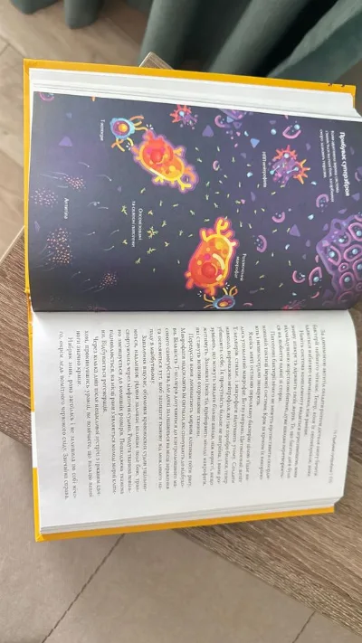 Фото 6 книги «Дивовижний імунітет», Ф. Деттмер, Тернопіль (6 з 8)