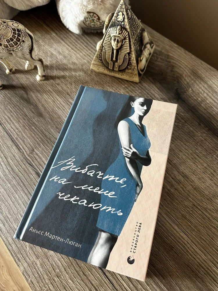 Обкладинка книги «Вибачте на мене чекають Аньєс Мартен-Люган», Івано-Франківськ (1 з 6)