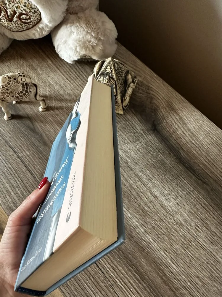 Фото 3 книги «Вибачте на мене чекають Аньєс Мартен-Люган», Івано-Франківськ (3 з 6)