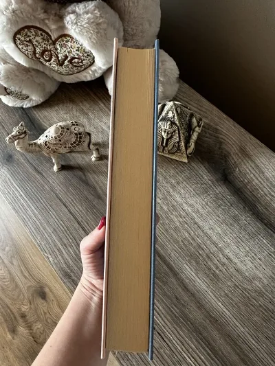Фото 4 книги «Вибачте на мене чекають Аньєс Мартен-Люган», Івано-Франківськ (4 з 6)