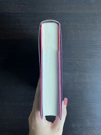 Фото 4 книги «Безнадія», Коллін Гувер, Київ (4 з 5)