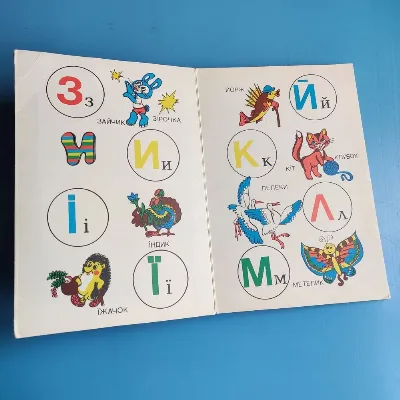 Фото 5 книги «Мій перший буквар - книжка іграшка», Кривий Ріг (5 з 8)