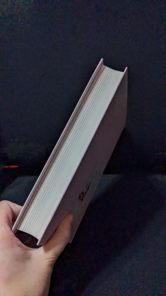 Фото 6 книги «Дівчина онлайн», Зої Загг, Городище (6 з 6)