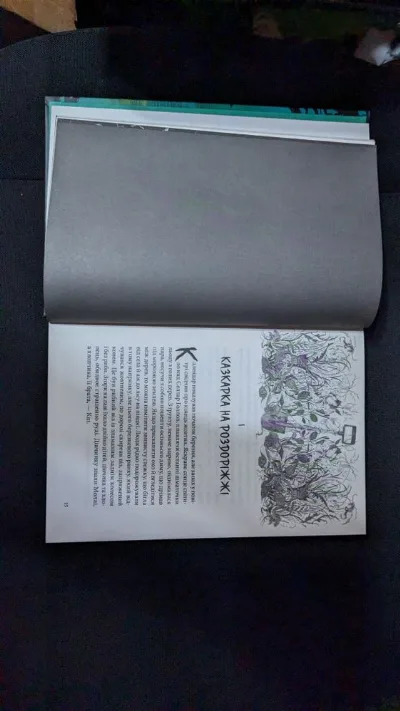 Фото 6 книги «Нічний садівник Джонатан Окс'є», Городище (6 з 7)