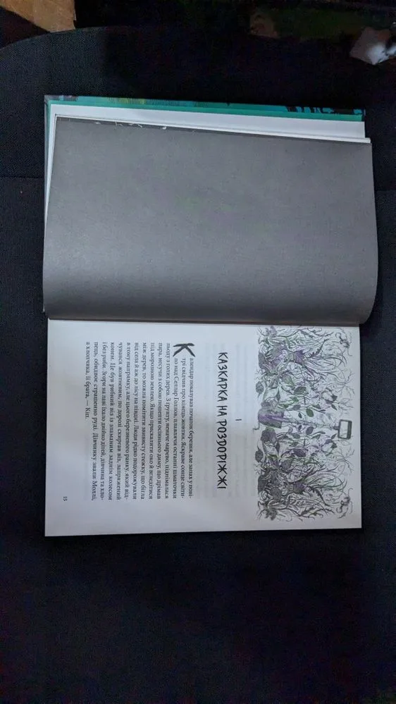 Фото 6 книги «Нічний садівник Джонатан Окс'є», Городище (6 з 7)