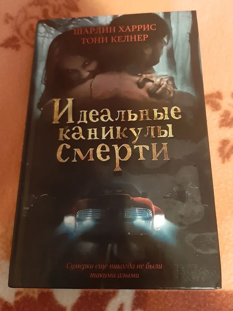 Обкладинка книги «Ідеальні канікули смерті», Житомир (1 з 6)